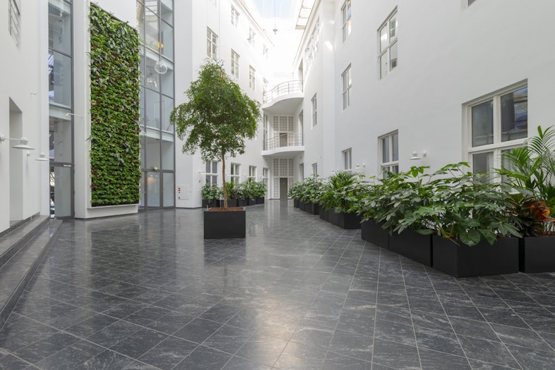 Natural Greenwalls - Building Green