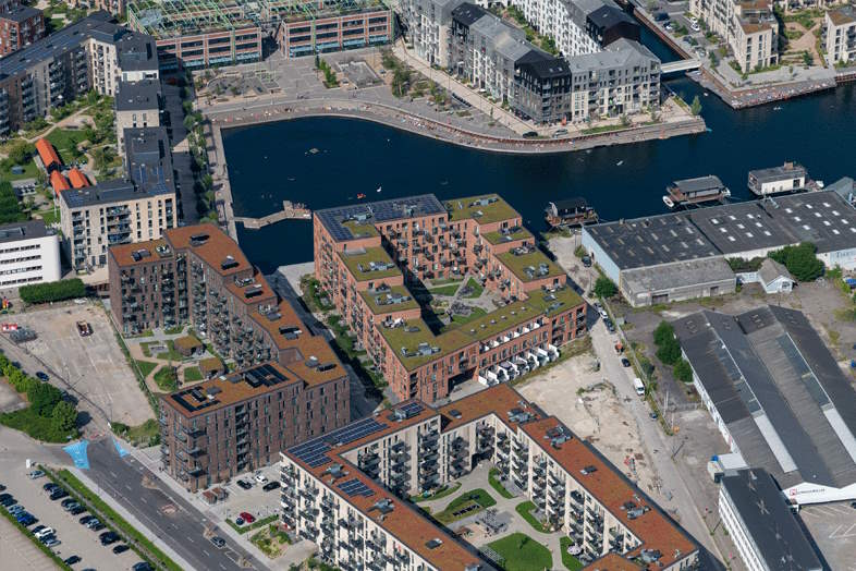 4 gode grunde til at etablere et grønt tag i København 