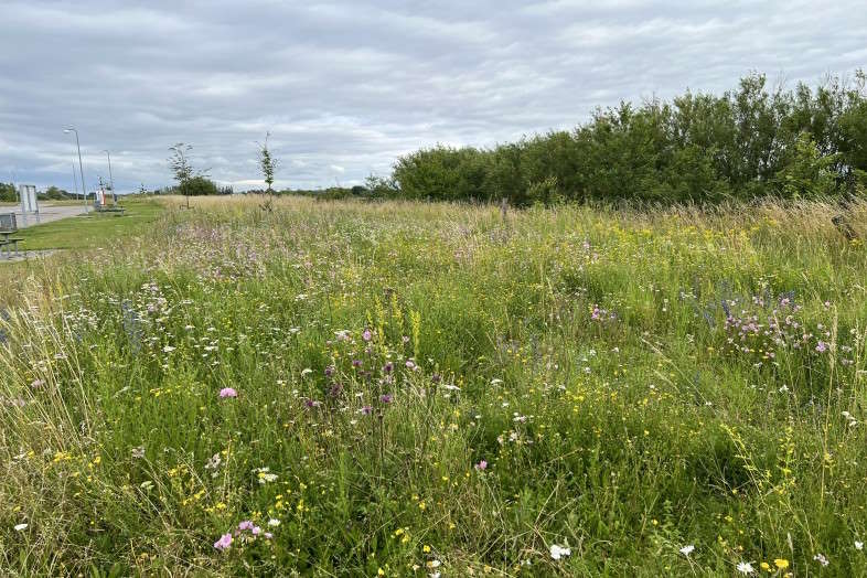 Hos Nykilde arbejder sammen med naturen