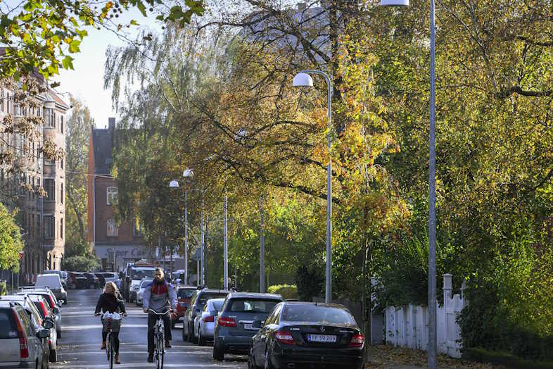 Signify producerer armaturer af sukkerrør og drivhusplader 